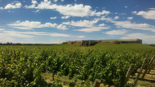 Riojan wineries Cordoba
