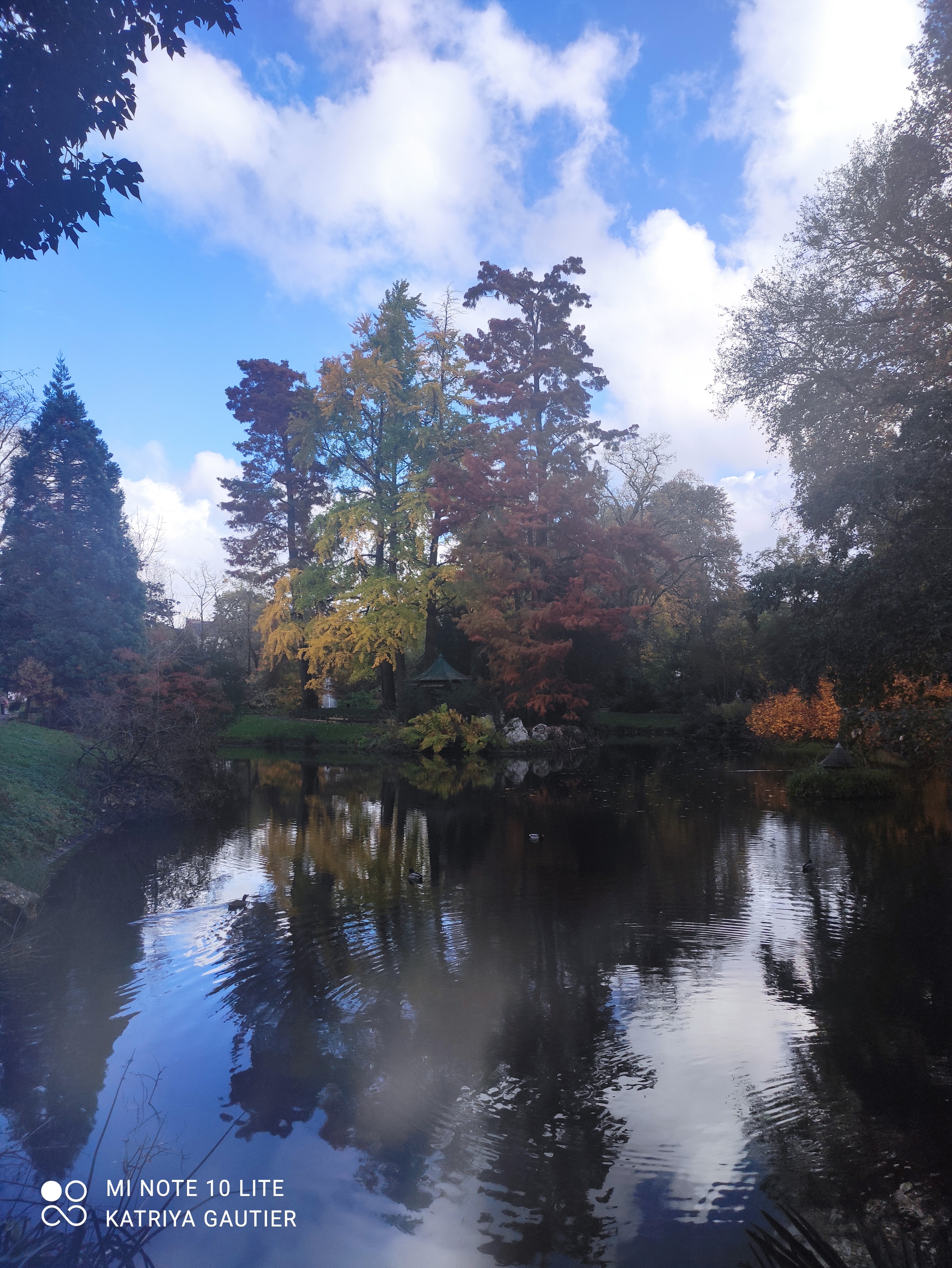 Photo n° 3 de l'avis de Katriya.a fait le 16/11/2022 à 13:17