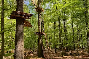 Kletterpark Hochseilgarten Hasloh image