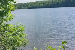 Green Turtle Lake - Ringwood State Park image