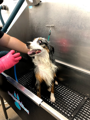 Pet Supply Store «Pet Supplies Plus», reviews and photos, 21703 Village Lakes Shopping Center Dr, Land O Lakes, FL 34639, USA