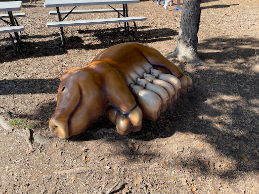 Farm «Buford Corn Maze.», reviews and photos, 4470 Bennett Rd, Buford, GA 30519, USA