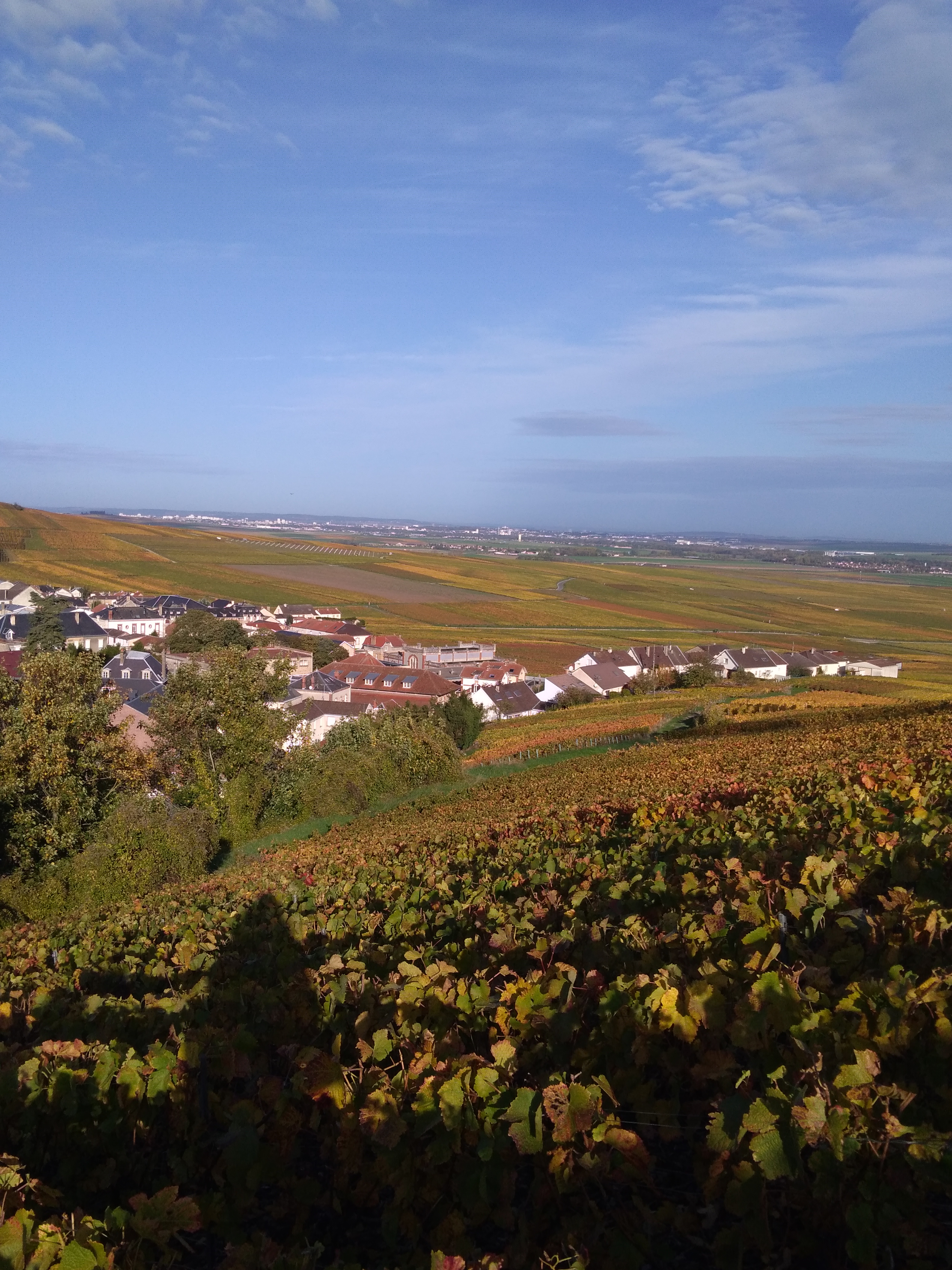 Photo n° 5 de l'avis de Julien.e fait le 25/10/2019 à 19:07