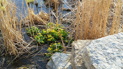 Nature Preserve «Bruce Vento Nature Sanctuary», reviews and photos, 4th St E, St Paul, MN 55106, USA