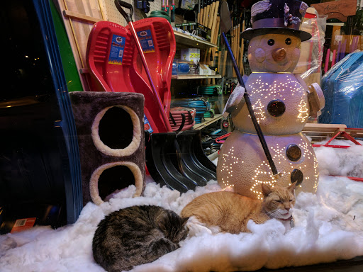 Hardware Store «Cumberland Hardware Co», reviews and photos, 1018 Woodland St, Nashville, TN 37206, USA