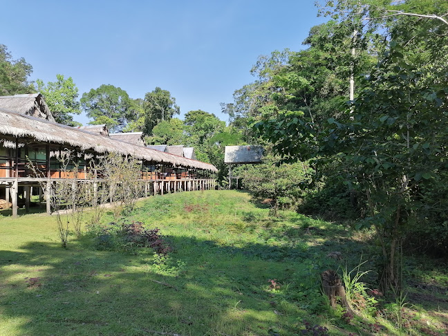 Comentarii opinii despre Amazon Yanayacu Lodge