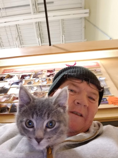 Pet Supply Store «PetSmart», reviews and photos, 4013 Wisconsin 28, Kohler, WI 53081, USA