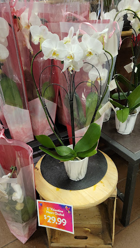 Supermarket «Wegmans», reviews and photos, 601 Amherst St, Buffalo, NY 14207, USA