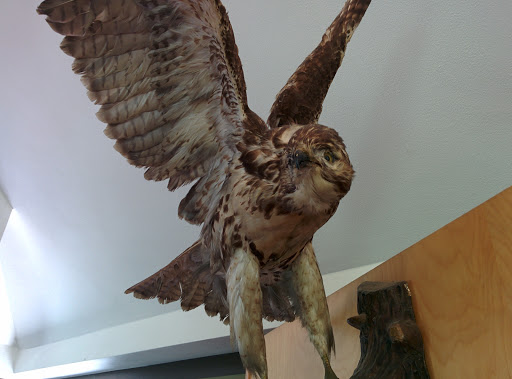 Nature Preserve «Wood Lake Nature Center», reviews and photos, 6710 Lake Shore Dr S, Minneapolis, MN 55423, USA