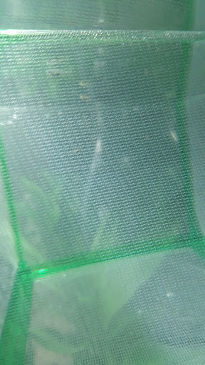 Pet Supply Store «Coastline Pet Supply», reviews and photos, 3530 Northgate Dr, Myrtle Beach, SC 29588, USA