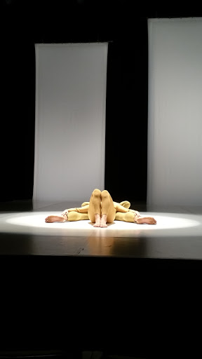 Performing Arts Theater «Richard B. Fisher Center for the Performing Arts», reviews and photos, 60 Manor Ave, Annandale-On-Hudson, NY 12504, USA