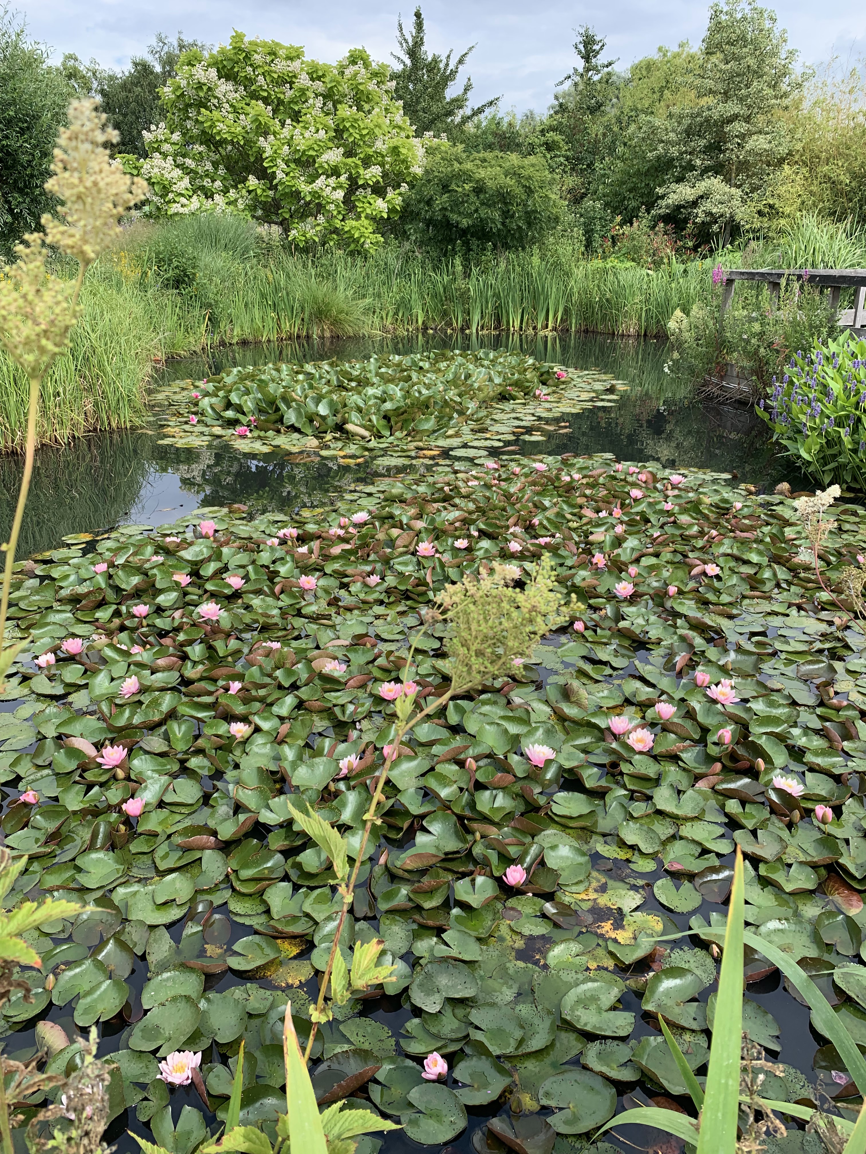 Photo n° 1 de l'avis de Steph.a fait le 28/07/2019 à 18:35