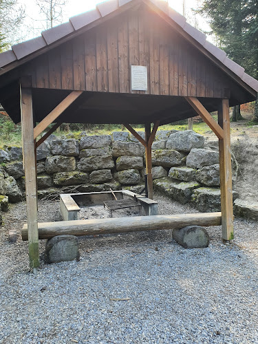 Kommentare und Rezensionen über Waldhütte Bellmund