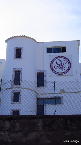 R. 4 de Julho Armazém 6, 3025-010 Coimbra