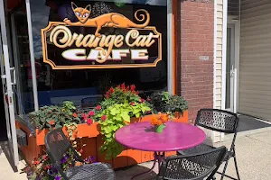 Orange Cat Cafe image