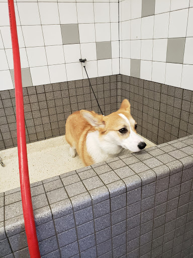 Pet Supply Store «Pet Food Express», reviews and photos, 5148 Stevens Creek Blvd, San Jose, CA 95129, USA