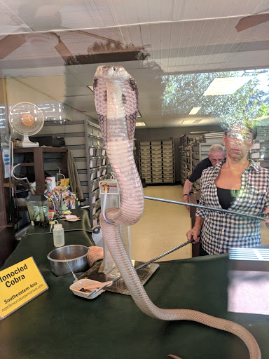 Tourist Attraction «Reptile World Serpentarium», reviews and photos, 5705 E Irlo Bronson Memorial Hwy, St Cloud, FL 34771, USA