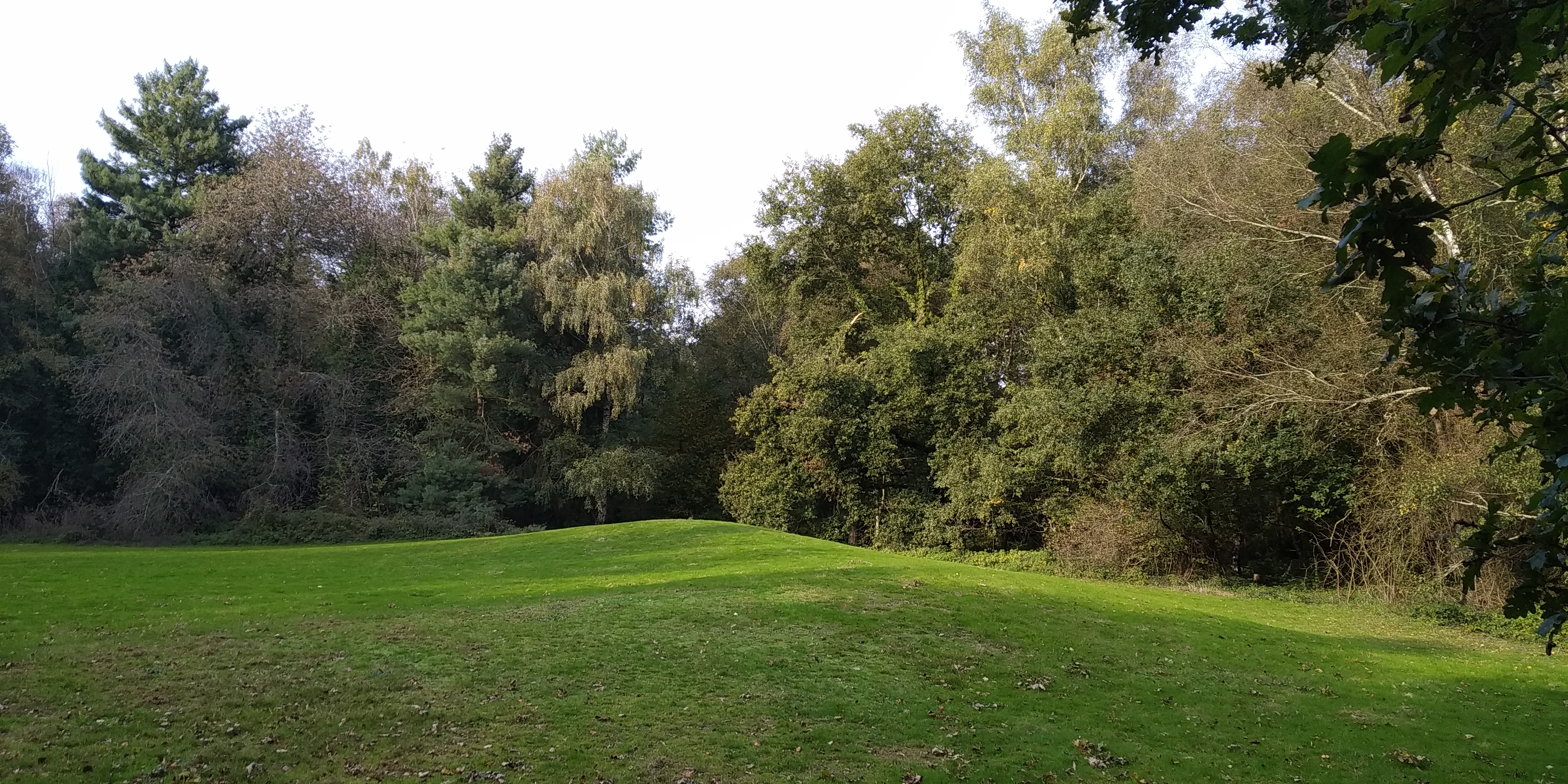 Photo n° 1 de l'avis de Flo.a fait le 18/10/2020 à 15:36