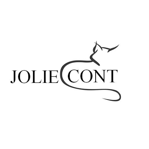 Opinii despre JolieCont | Firma de contabilitate în <nil> - Firmă de contabilitate