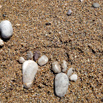 Photo n°4 de l'avis de Marisa.g fait le 31/07/2018 à 15:20 sur le  Albergo Ristorante La Lampara à Giglio Campese