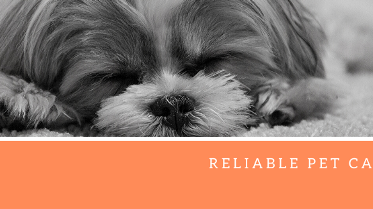 Reliable Pet Care