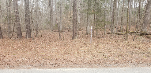 Palmetto Trail crossing