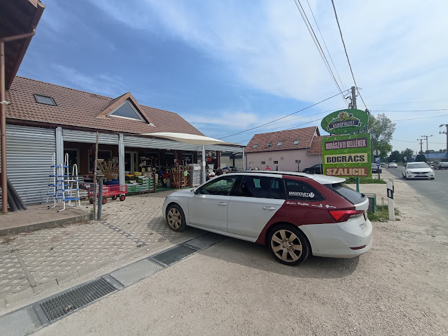 Tököl, Szent László utca 2, 2316