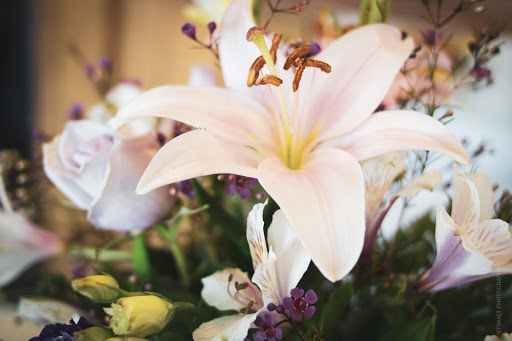 Florist «Russ Gaffney Florist», reviews and photos, 160 S Pine St, Spartanburg, SC 29302, USA