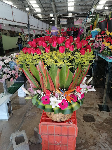 Floracopio – San Antonio la Isla