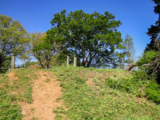 Public Golf Course «Candler Park Golf Course», reviews and photos, 585 Candler Park Dr NE, Atlanta, GA 30307, USA