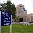 UF Veterinary Hospitals Veterinary Pharmacy