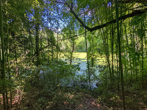 Tourist Attraction «The Underground Railroad Experience Trail», reviews and photos, 16501 Norwood Rd, Sandy Spring, MD 20860, USA