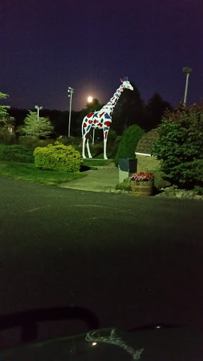 Public Golf Course «Quail Ridge Golf Course», reviews and photos, 1770 NJ-34, Wall Township, NJ 07727, USA