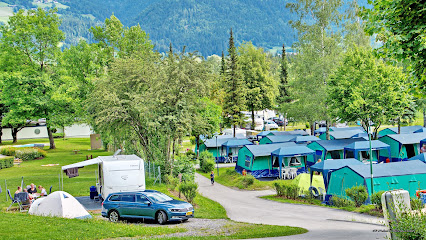 Camping am Waldbad Dellach im Drautal