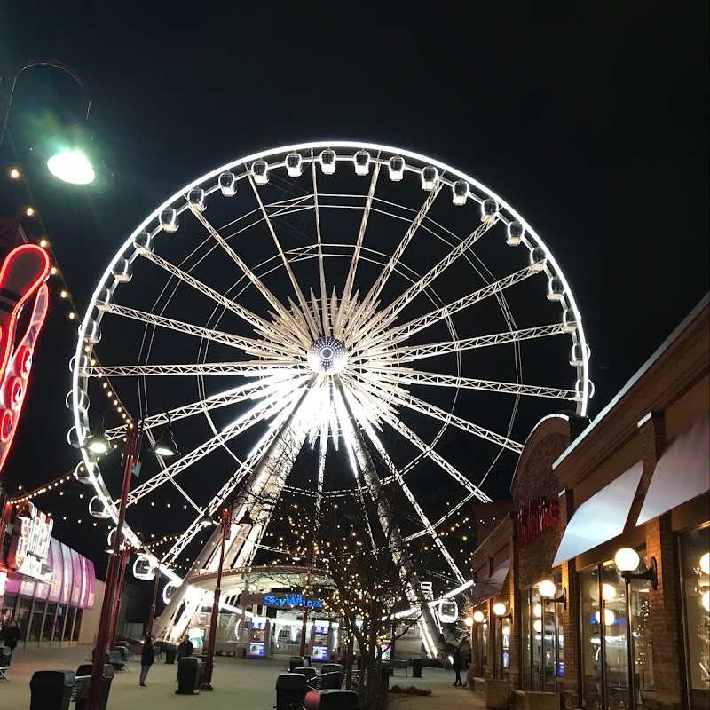 Niagara SkyWheel