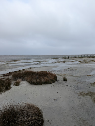 Pet Supply Store «Outer Barks - Water Front Shops», reviews and photos, 1240 Duck Rd, Duck, NC 27949, USA