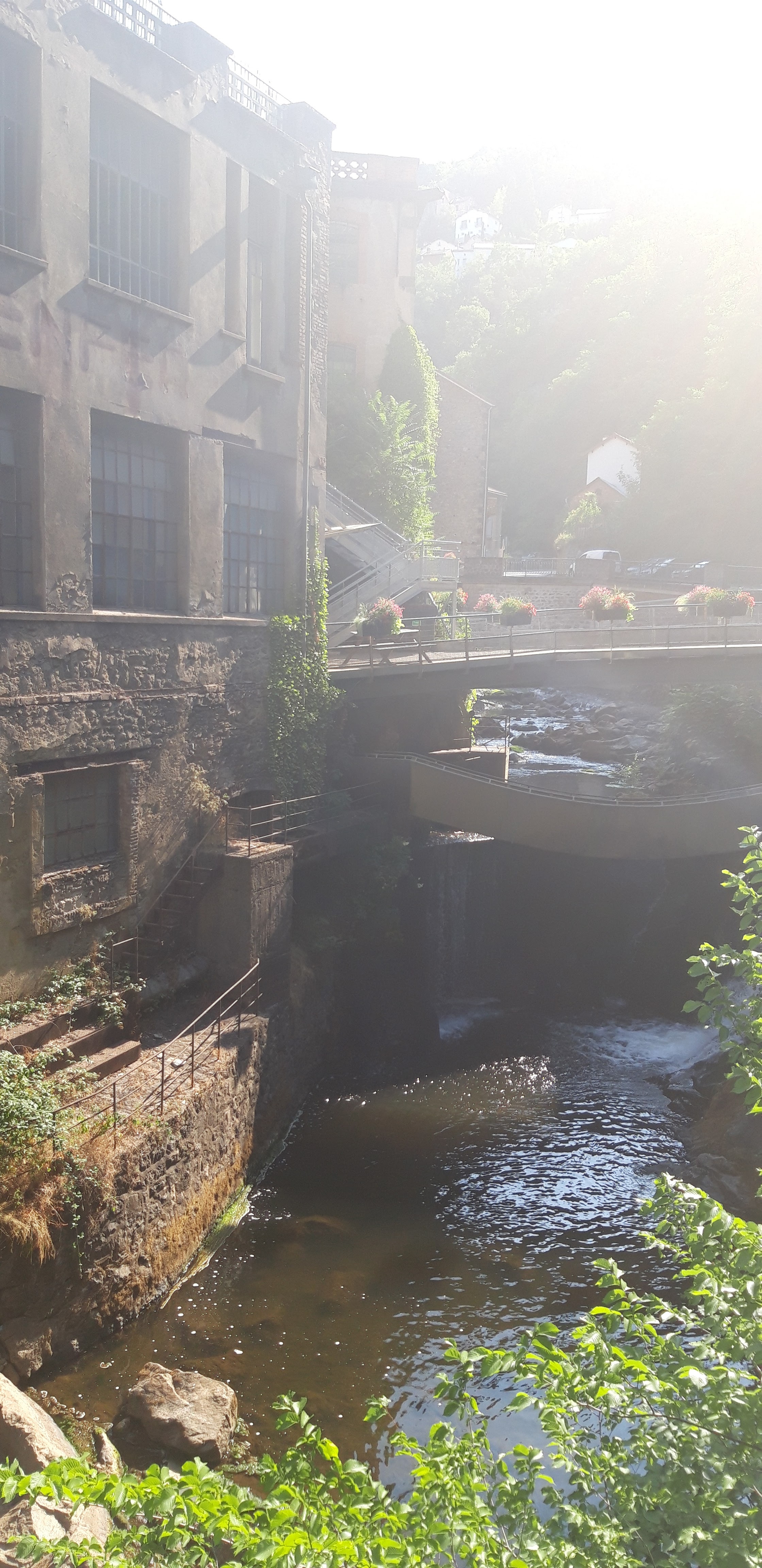 Photo n° 1 de l'avis de Cyrille. fait le 22/07/2019 à 12:55
