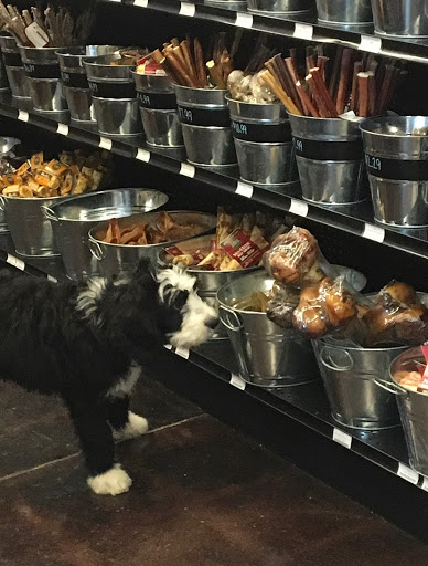 Pet Store «Woofs & Waves», reviews and photos, 5426 Arrowhead Pkwy E, Sioux Falls, SD 57110, USA