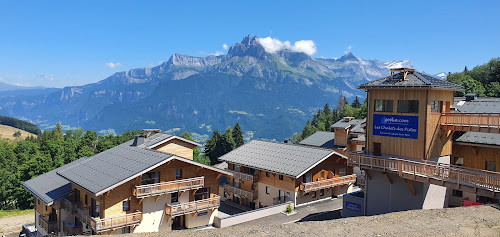 hôtels Goélia Les Chalets des Pistes Combloux