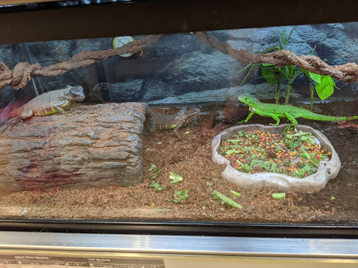 Pet Supply Store «Petco Animal Supplies», reviews and photos, 1945 W Palmetto St #250, Florence, SC 29501, USA