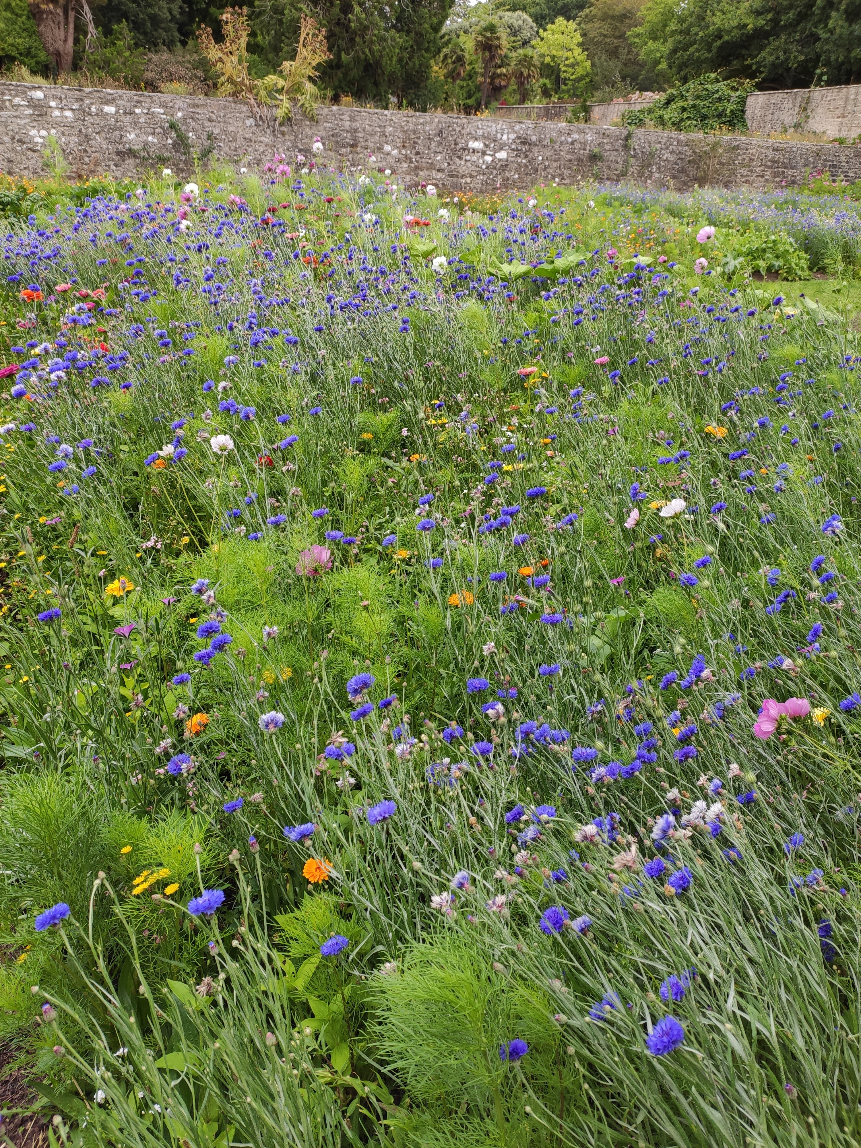 Photo n° 5 de l'avis de Oph.l fait le 05/08/2020 à 14:04