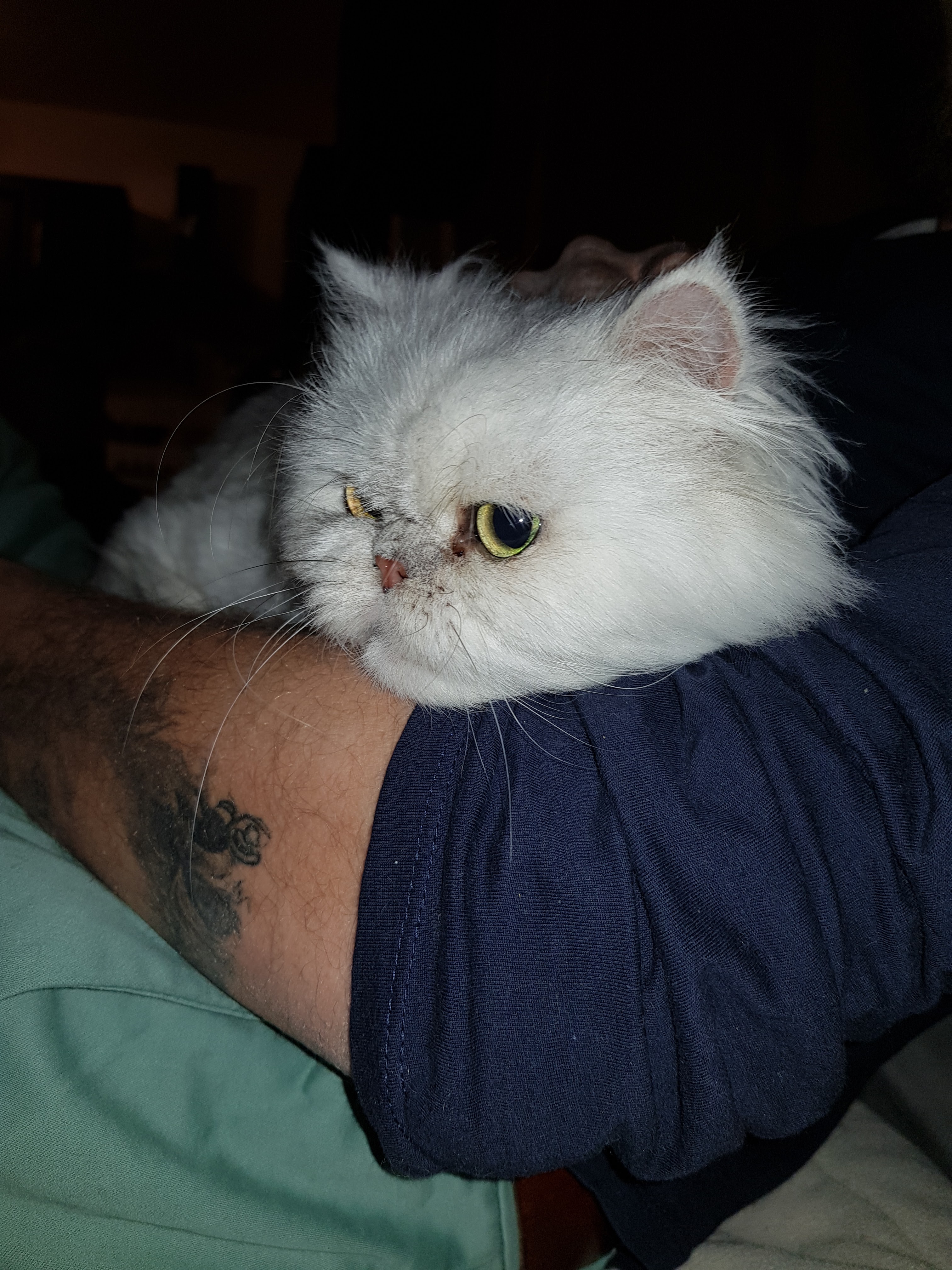 Photo n° 2 de l'avis de Jessica.e fait le 31/12/2018 à 17:58