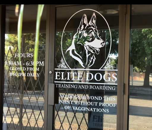 Elite Dogs Training & Boarding