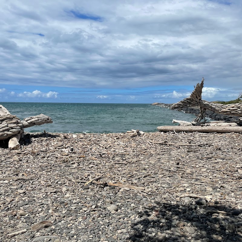 Driftwood Kohala (Whale), Honu (Sea Turtle),