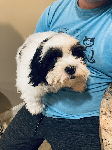 Pet Store «The Pet Zone», reviews and photos, 2001 South Rd, Poughkeepsie, NY 12601, USA