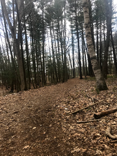 Batchelder Pond Trails