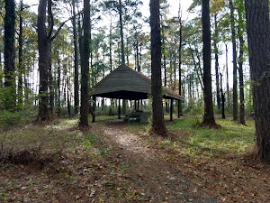 Marsh Edge Trail - photo 9