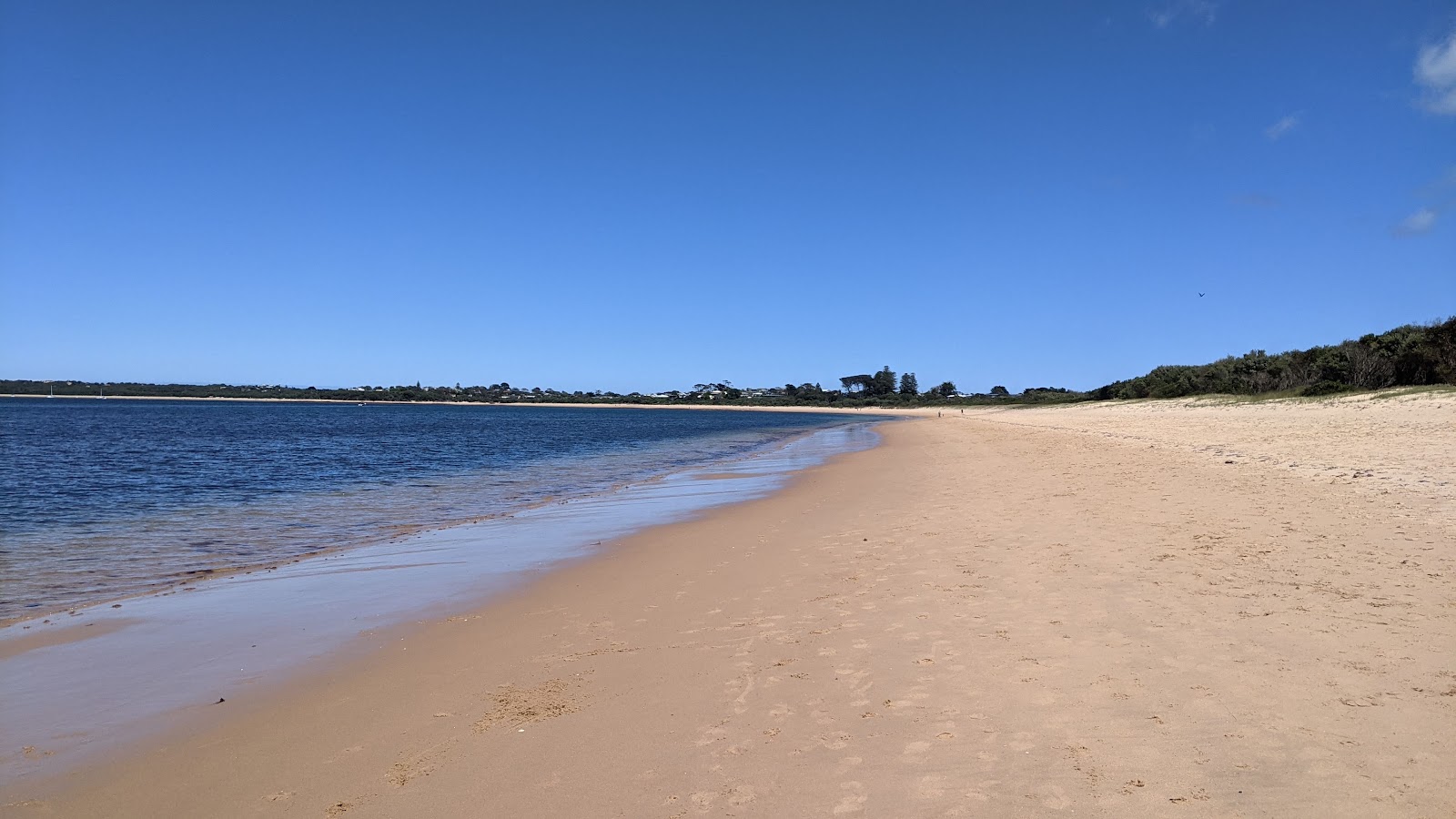 Photo de Cape Woolamai Beach avec sable lumineux de surface