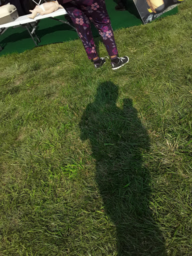 Park «Central City Park», reviews and photos, 36601 Ford Rd, Westland, MI 48185, USA