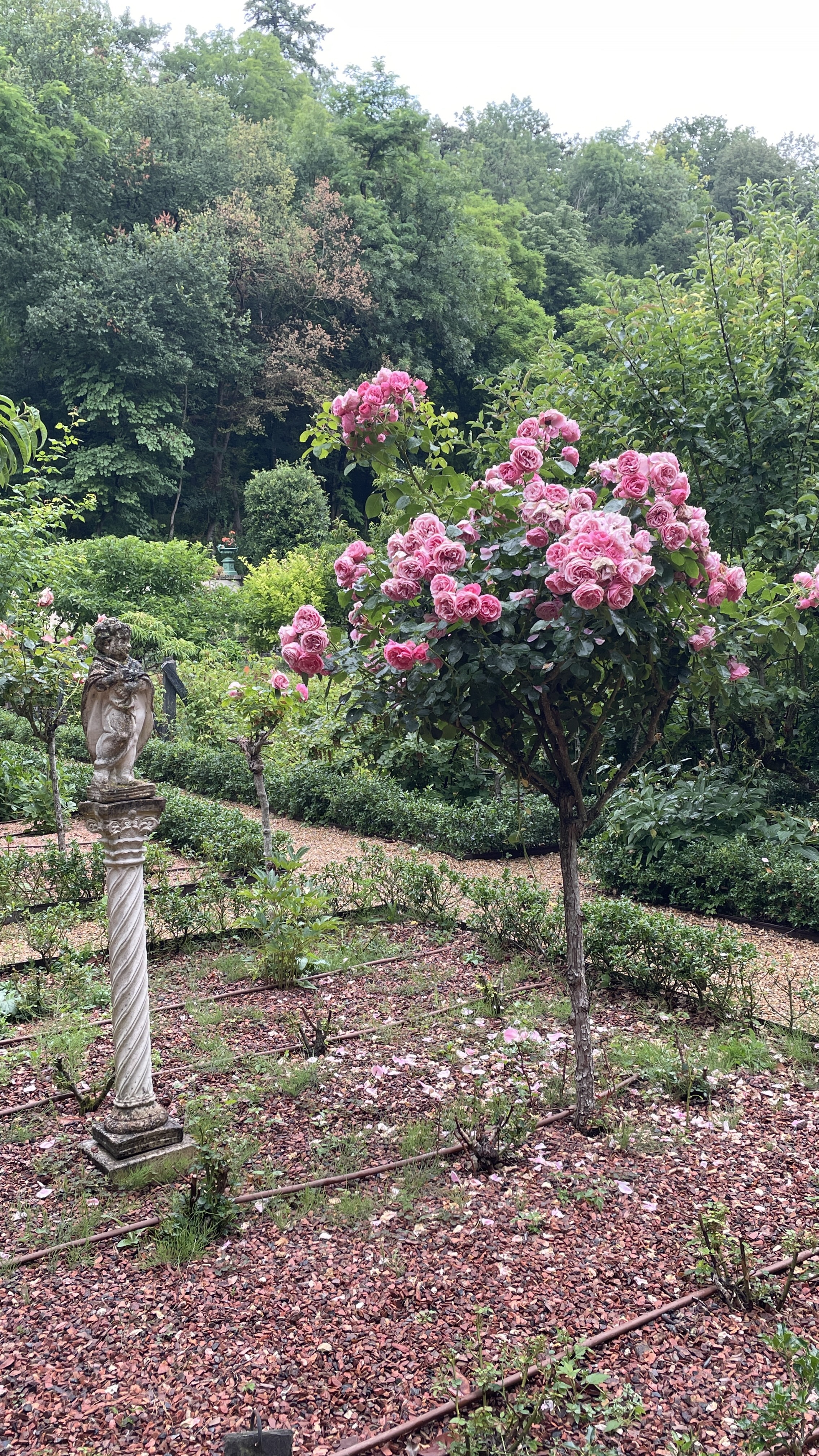 Photo n° 5 de l'avis de Dba.B fait le 19/06/2023 à 16:10